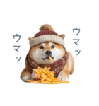 冬のおデブな柴犬【ダイエット・面白い】（個別スタンプ：19）