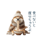 冬のおデブな柴犬【ダイエット・面白い】（個別スタンプ：21）