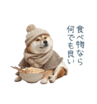 冬のおデブな柴犬【ダイエット・面白い】（個別スタンプ：24）