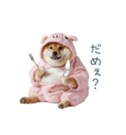 冬のおデブな柴犬【ダイエット・面白い】（個別スタンプ：27）