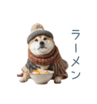 冬のおデブな柴犬【ダイエット・面白い】（個別スタンプ：28）