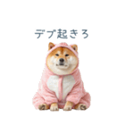 冬のおデブな柴犬【ダイエット・面白い】（個別スタンプ：29）