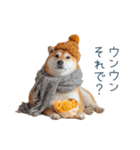 冬のおデブな柴犬【ダイエット・面白い】（個別スタンプ：30）