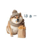 冬のおデブな柴犬【ダイエット・面白い】（個別スタンプ：31）