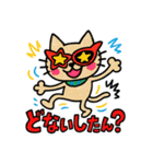 落書き猫【大阪STYLE】（個別スタンプ：18）