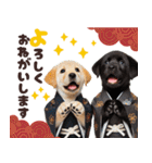 あけおめラブラドール＊お正月（再販）（個別スタンプ：1）