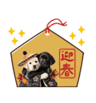 あけおめラブラドール＊お正月（再販）（個別スタンプ：3）