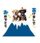 あけおめラブラドール＊お正月（再販）（個別スタンプ：5）