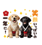 あけおめラブラドール＊お正月（再販）（個別スタンプ：6）
