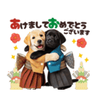 あけおめラブラドール＊お正月（再販）（個別スタンプ：8）