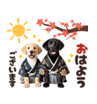 あけおめラブラドール＊お正月（再販）（個別スタンプ：10）