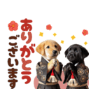 あけおめラブラドール＊お正月（再販）（個別スタンプ：22）