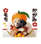 あけおめラブラドール＊お正月（再販）（個別スタンプ：23）