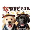 あけおめラブラドール＊お正月（再販）（個別スタンプ：24）