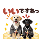 あけおめラブラドール＊お正月（再販）（個別スタンプ：25）