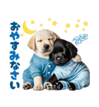 あけおめラブラドール＊お正月（再販）（個別スタンプ：26）