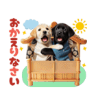 あけおめラブラドール＊お正月（再販）（個別スタンプ：30）
