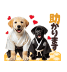 あけおめラブラドール＊お正月（再販）（個別スタンプ：31）