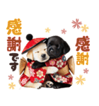 あけおめラブラドール＊お正月（再販）（個別スタンプ：33）