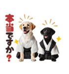 あけおめラブラドール＊お正月（再販）（個別スタンプ：34）