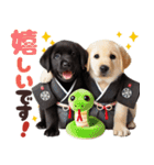 あけおめラブラドール＊お正月（再販）（個別スタンプ：35）