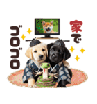 あけおめラブラドール＊お正月（再販）（個別スタンプ：39）