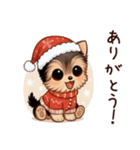冬のヨークシャテリア（個別スタンプ：5）