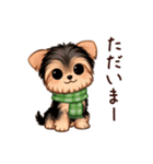 冬のヨークシャテリア（個別スタンプ：11）