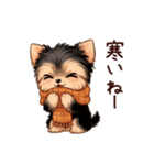 冬のヨークシャテリア（個別スタンプ：13）