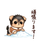 冬のヨークシャテリア（個別スタンプ：16）