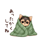 冬のヨークシャテリア（個別スタンプ：17）