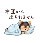 冬のヨークシャテリア（個別スタンプ：21）