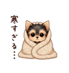 冬のヨークシャテリア（個別スタンプ：22）