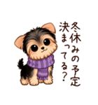 冬のヨークシャテリア（個別スタンプ：26）