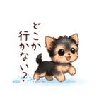 冬のヨークシャテリア（個別スタンプ：27）