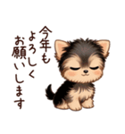 冬のヨークシャテリア（個別スタンプ：39）