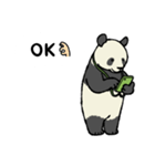 スマホパンダ（個別スタンプ：1）