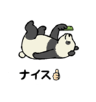 スマホパンダ（個別スタンプ：3）