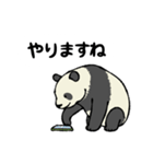 スマホパンダ（個別スタンプ：4）