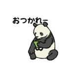 スマホパンダ（個別スタンプ：5）