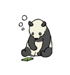 スマホパンダ（個別スタンプ：10）