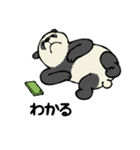 スマホパンダ（個別スタンプ：16）