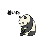 スマホパンダ（個別スタンプ：25）