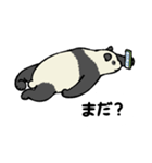 スマホパンダ（個別スタンプ：26）
