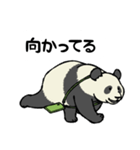 スマホパンダ（個別スタンプ：27）