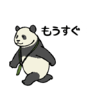 スマホパンダ（個別スタンプ：28）