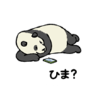 スマホパンダ（個別スタンプ：31）
