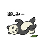 スマホパンダ（個別スタンプ：35）