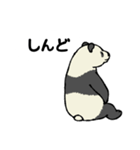 スマホパンダ（個別スタンプ：38）