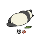 スマホパンダ（個別スタンプ：40）